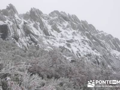 Hayedo de Pedrosa - Parque Natural Sierra Norte de Guadalajara - Hayedo de Tejera Negra